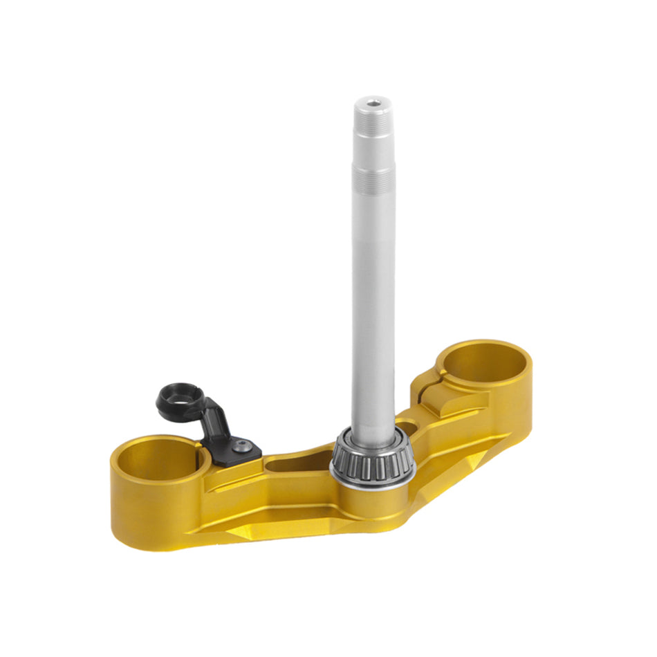 BOTTOM PLAT FORK GOLD TS 39 F